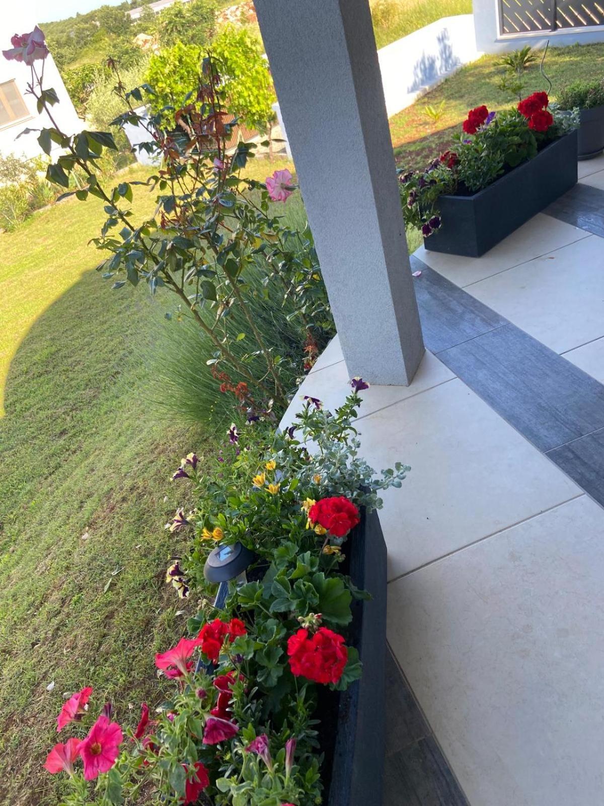 Mihaela Holiday home