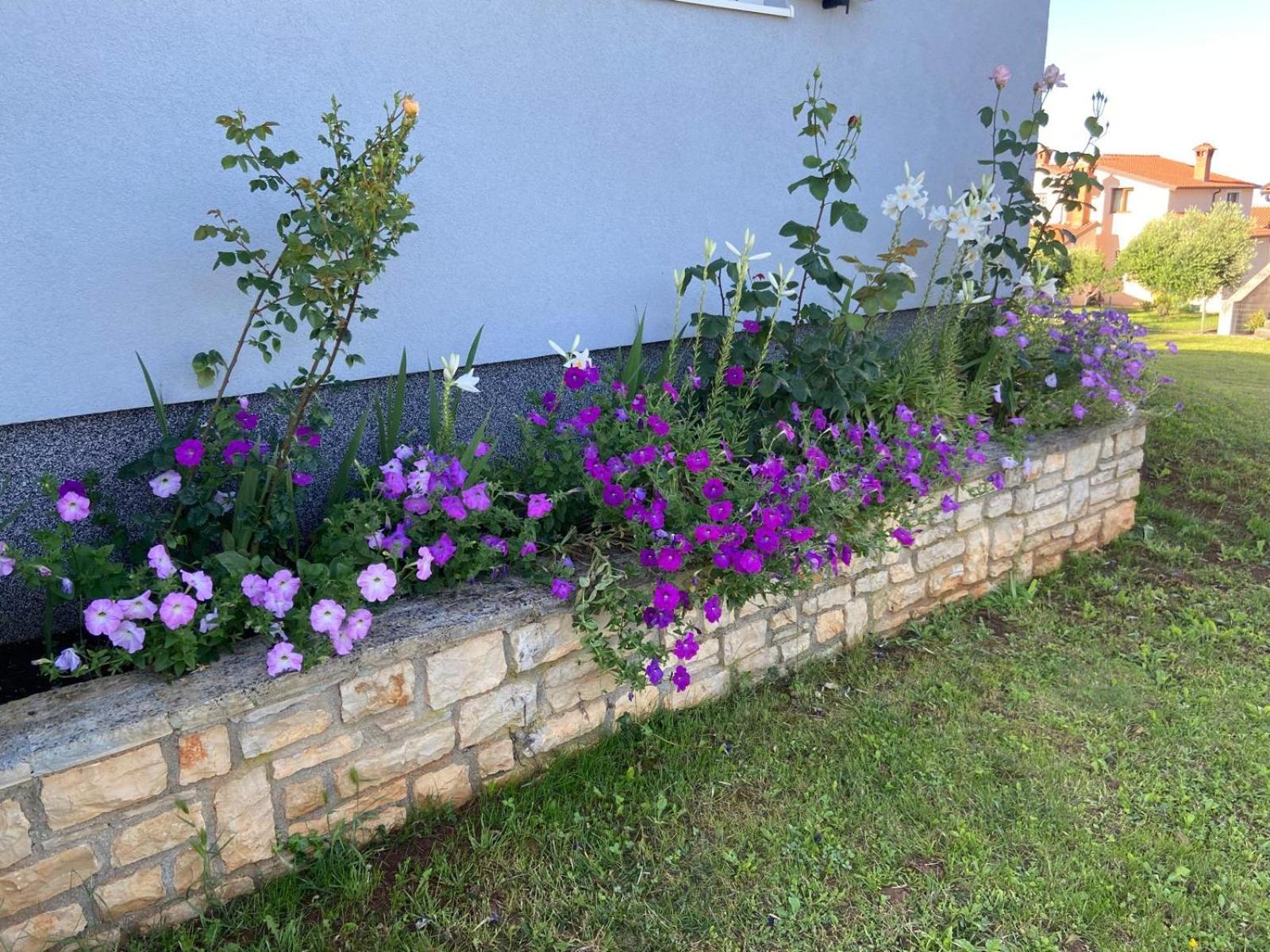 Ferienhaus Mihaela Višnjan